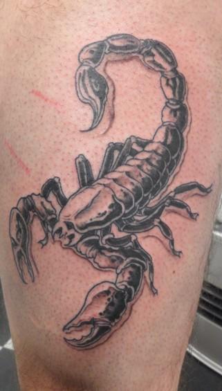 tattoos/ - Scorpion - 53401
